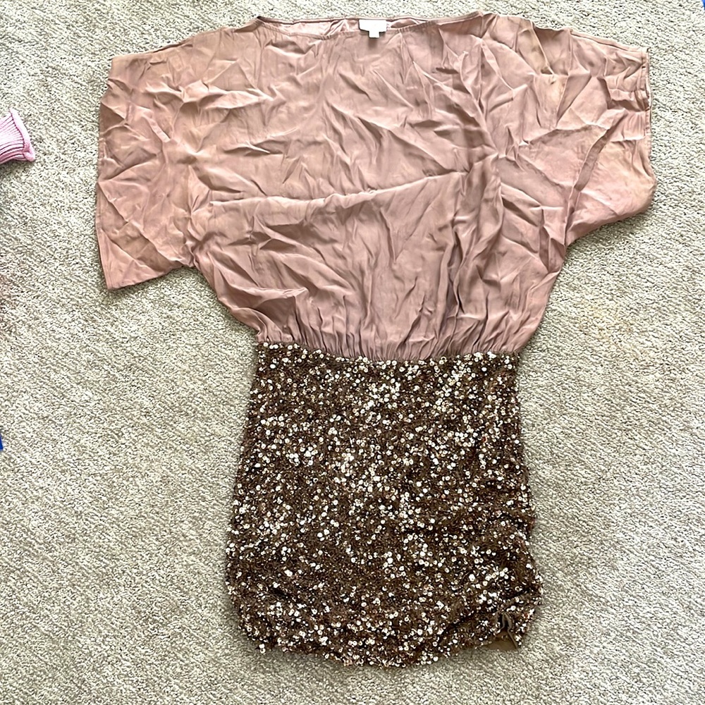 Dusty Rose Silk and sequin dress